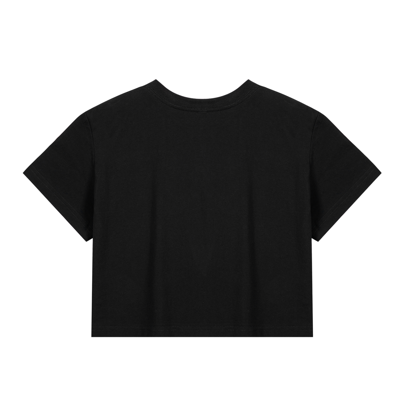 Washed up Local Cropped T-Shirt